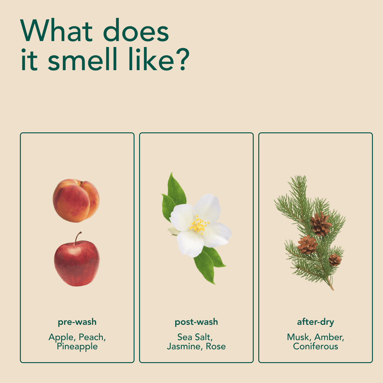 Travel Size Scent Boosters 2